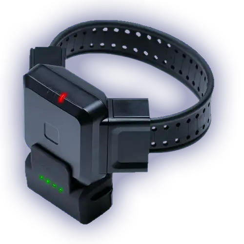 dignitrac blutag with mobile charger with transparent background