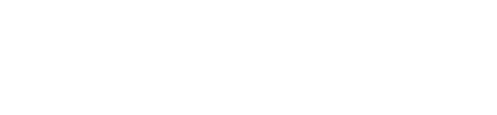 white dignitrac logo with transparent background