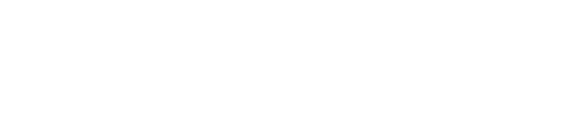 white dignitrac logo with transparent background