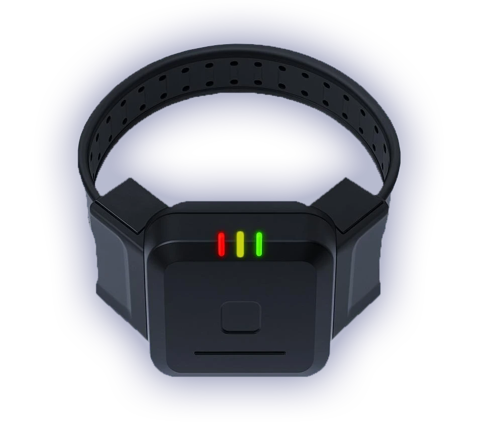 blutag onepiece gps solution all in one monitoring